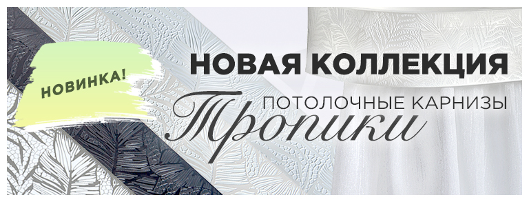 Тропики